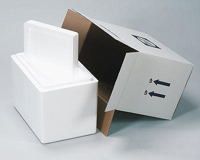 Thermosafe Brands ThermoSafe Insulated Shippers 804 - 2.0 Each - MDL-TGT804