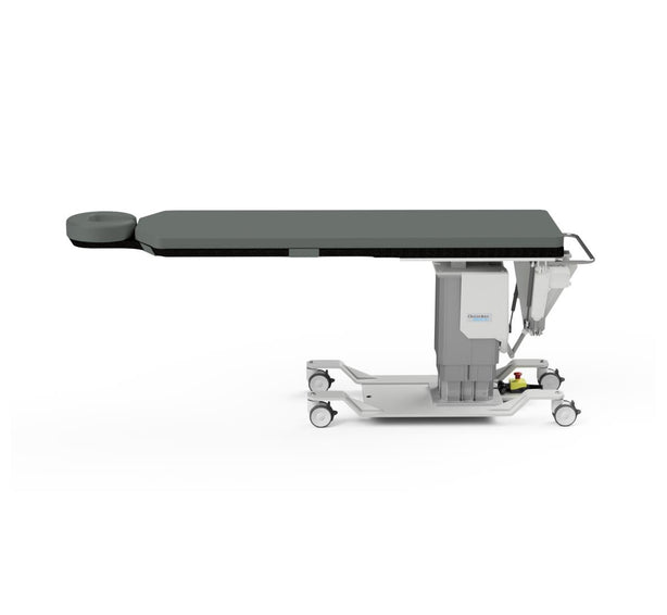Oakworks Inc Integrated Headrest Imaging and Pain-Management Table CFPM300 - 1.0 Each