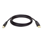 TRIPPLITE USB 2.0 Gold Extension Cables U022-010 1 Each-MDL-TRPU022010