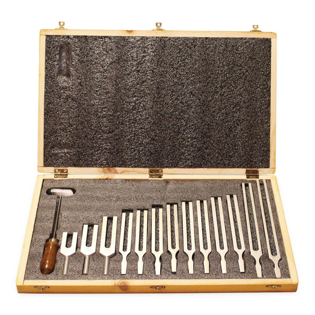 United Scientific Supplies, Inc. Tuning Fork Boxed Set TFBOX13 - 1.0 Each