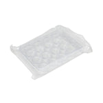 United Scientific Sterile 12-Place Well Plate - UNWPLATE-12-PK/10 - 10 Each - MDL-UNLWPLATE12PK
