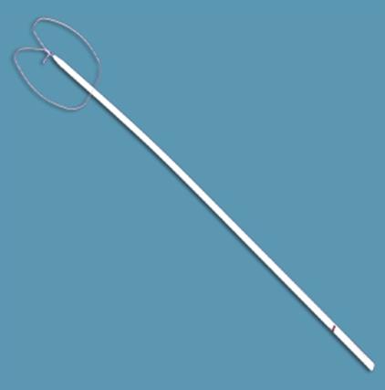 MEDTRONIC USA Surgitie Loop with Polysorb Suture EL-23-LN 1 Each - MDL-USUEL23LNH