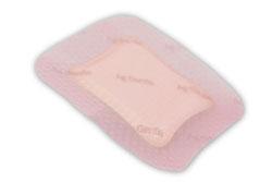 Smith Nephew Allevyn Ag Gentle Border Adhesive Silver Dressing, 5" x 5" - 66800453 - 10 Each