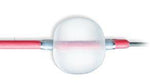 Edwards Lifesciences Over-The-Wire Fogarty Thru-Lumen Catheters Embolectomy Cather, Through Lumen, 3 Fr - 12TLW1203F - 1 Each
