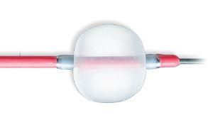 Edwards Lifesciences Over-The-Wire Fogarty Thru-Lumen Catheters Embolectomy Cather, Through Lumen, 3 Fr - 12TLW1203F - 1 Each