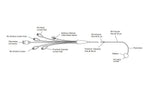 EDWARDS LIFESCIENCES 4-Lumen Swan-Ganz Paceport Catheter, Thermodilution, 7Fr - 131F7P - 5 Each