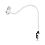 WALDMANN LIGHTING N30 LED Halux N30-1 P SV Side-Mount Medical Exam Light with Gooseneck Arm and Table Clamp - D15990100 - 1 Each