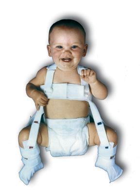 WHEATON BRACE CO. Wheaton-Pavlik Harness L1620S 1 Each - MDL-WBCL1620S
