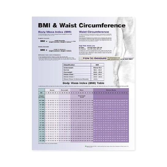 BMI and Waist Circumference Chart - 9780781772273 - 1 Each - MDL-WKH0781772273