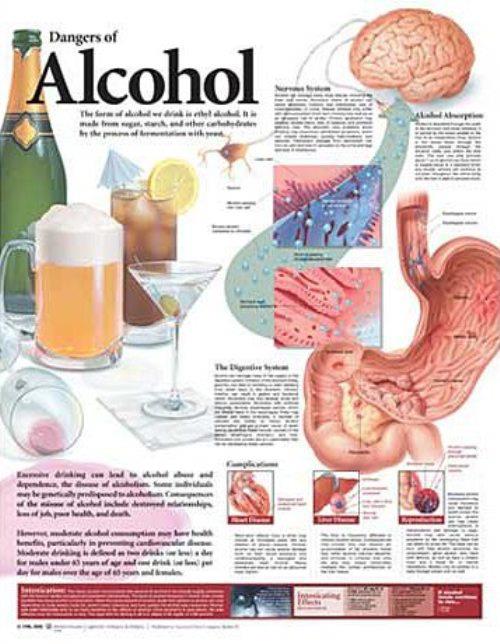 Wolters Kluwer Dangers of Alcohol Chart, English, Laminated - 9780781782395 - 1 Each