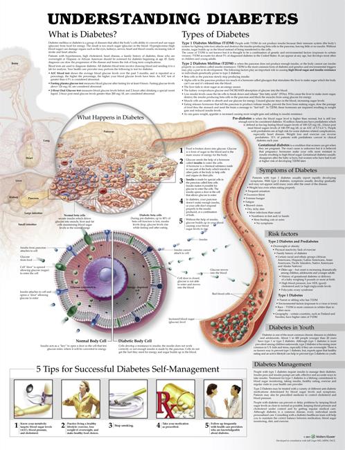 Wolters Kluwer Understanding Diabetes Anatomical Charts 9781469894928 - 1.0 Each