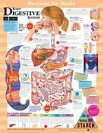 Wolters Kluwer Blueprint for Health Anatomical Charts 9781587797392 - 1.0 Each