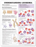 Wolters Kluwer Understanding Leukemia Anatomical Chart 9781587799761 - 1.0 Each