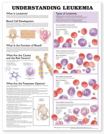 Wolters Kluwer Understanding Leukemia Anatomical Chart 9781587799761 - 1.0 Each