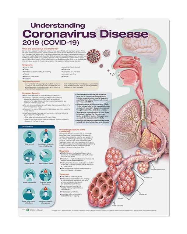 Wolters Kluwer Understanding Coronavirus Disease (COVID-19) Anatomical Chart 9781975170707 - 1.0 Each