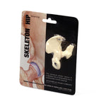 Wolters Kluwer Body Part Key Chains 7033SP - 1.0 Each