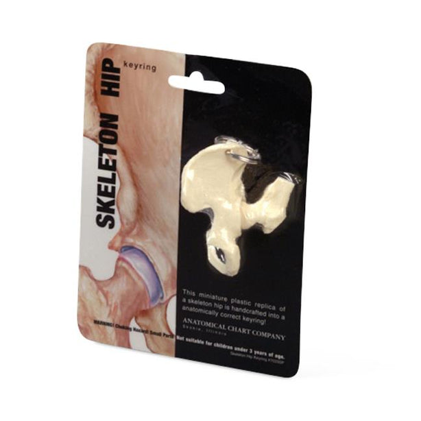 Wolters Kluwer Body Part Key Chains 7033SP - 1.0 Each