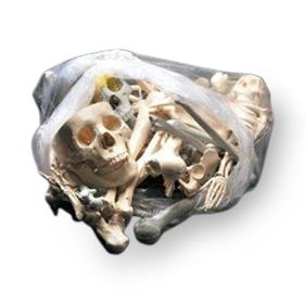 Wolters Kluwer Large Bag of Bones - WKHBONES1
