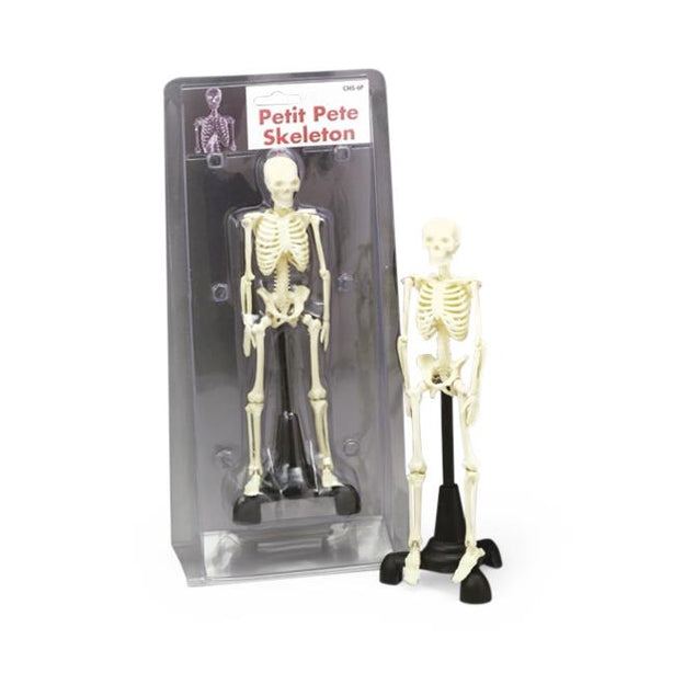Wolters Kluwer Skeleton Models CMS6P - 1.0 Each