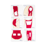 Wallcur Practi-Anatomical Color Template for Clinical Training 555CT 1.0 Each-MDL-WLL555CT