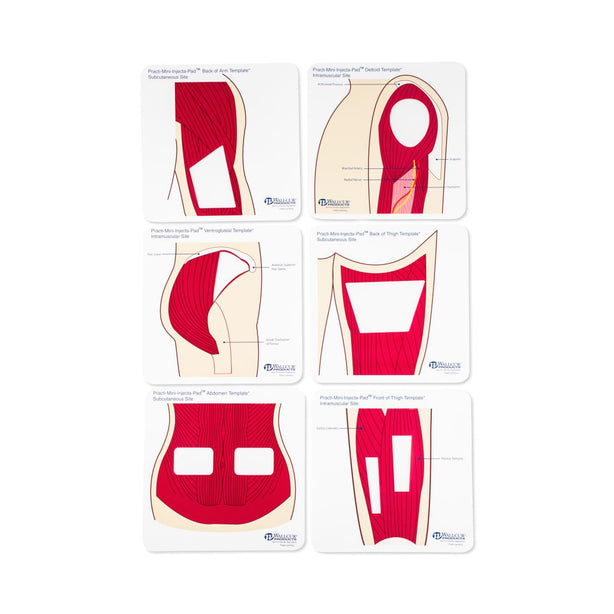 Wallcur Practi-Anatomical Color Template for Clinical Training 555CT 1.0 Each-MDL-WLL555CT