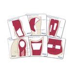 Wallcur Practi-Student Anatomical Template for Clinical Training 560ST - 6.0 Each