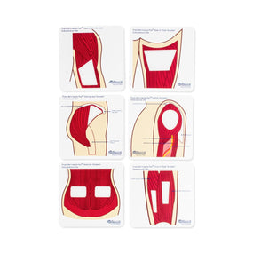 Wallcur Practi-Mini Anatomical Templates for Clinical Training 577MT - 1.0 Set