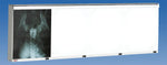 Wolf X-Ray The Econoline Illuminators - WOL29604
