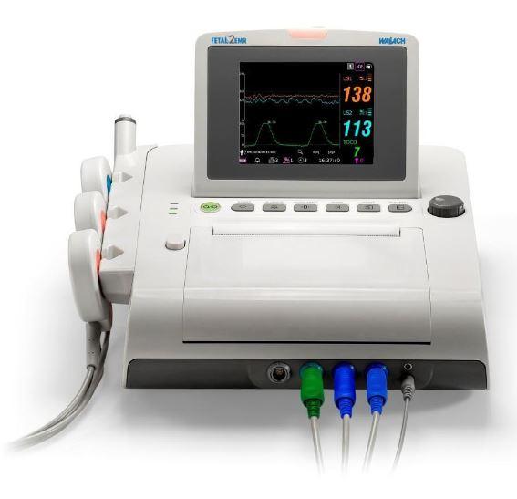 Wallach Surgical Devices 902308 Fetal Monitor Belt for Fetal2EMR Fetal Monitor - MDL-WSD902308 - 3 Each