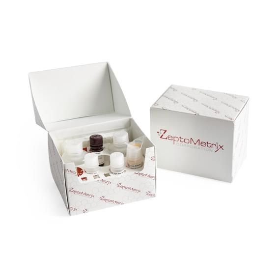 Zeptometrix Anti-Zika NS1 Clone 1D12 100 G - 0801025 - 1 Each
