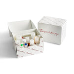 Zeptometrix Corporation Horse IgG ELISA Assay 0801221 - 1.0 Each