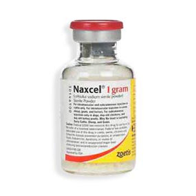 Zoetis Naxcel Sterile Powders by Zoetis - ZMCTMG881629